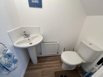 Picture 10